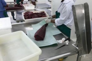 Čerstvý tuňák z Malediv | balení