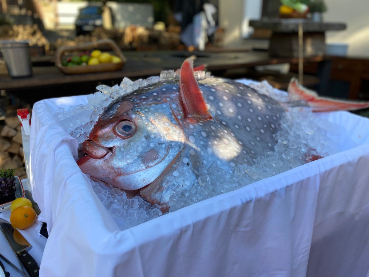 Fresh Fish Service | Moonfish