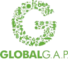 GLOBAL