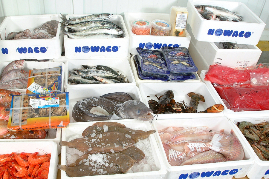 Fresh Fish Service | čerstvé ryby a mořské speciality
