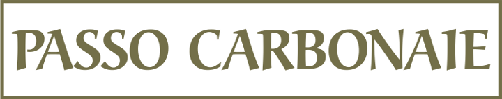 Passo Carbonaie | logo