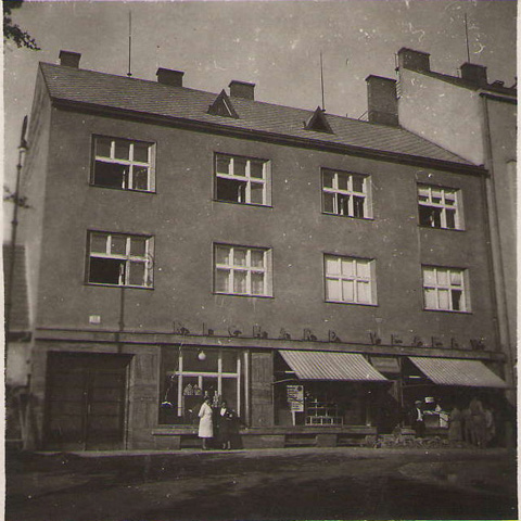 Steinex | historie