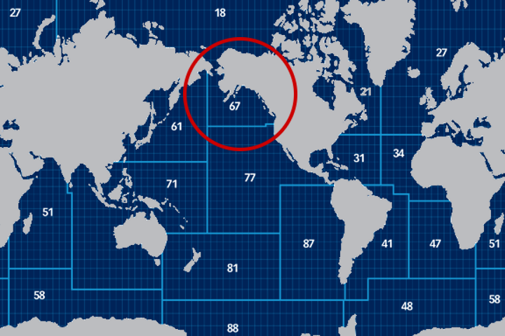 Oblast odlovu FAO 67 – severovýchodní část Tichého oceánu