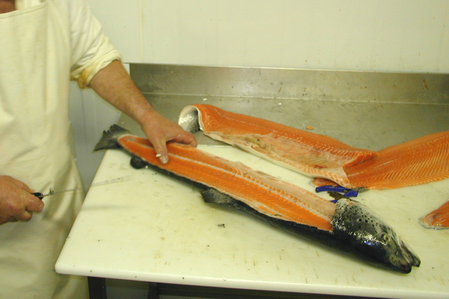 2001 | Bidfood Kralupy | filetování lososa