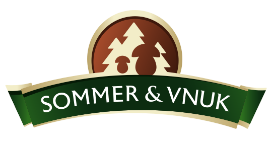 Sommer & vnuk | logo