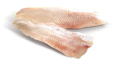 Není štika jako štika