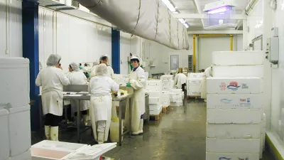 30 let s Vámi: 1998 | zahájení provozu balírny ryb v Kralupech