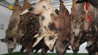 30 let s Vámi: 2012 | vybudování zpracovny zvěřiny Petron