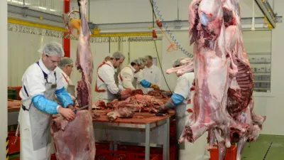 Zvěřina Petron 2 | Rizika a sankce Vám s námi nehrozí