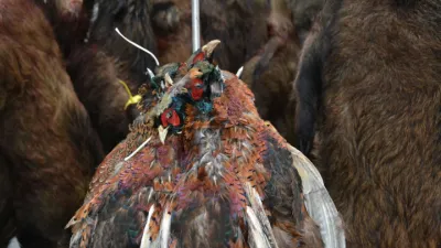 Zvěřina Petron 1 | Legální výkup zvěře zaručuje kvalitní zvěřinu