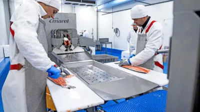 Čerstvé ryby v ostrém provozu