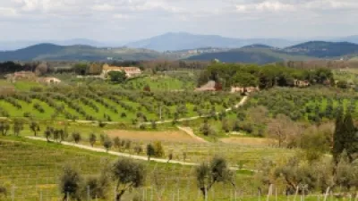 Italská vína | Toskánská vína Passo Carbonaie