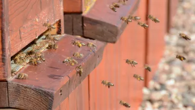 90 000 nových pilných zaměstnanců