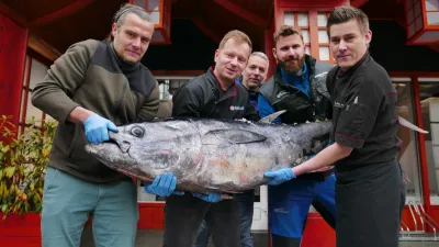 Yellowfin &amp; Bluefin se potkali u Fresh Fish Service