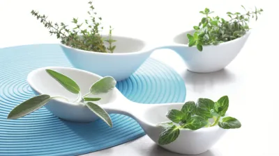 Mrazem sušené byliny rozvoní celou kuchyni