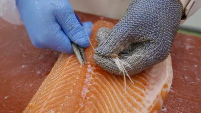 Čerstvé ryby – restart zpracovny