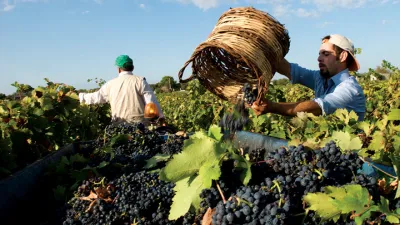 Italská vína | Primitivo a Negroamaro z regionu Puglia