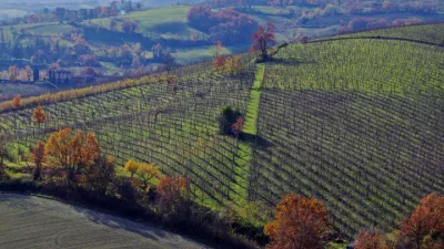 Italská vína | Příjemné perlivé Lambrusco