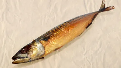 Jiná uzená makrela