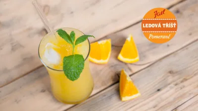 Prima ledová tříšť Mrož