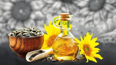Slunečnicový paradox aneb proč použít na smažení slunečnicový HOSO olej