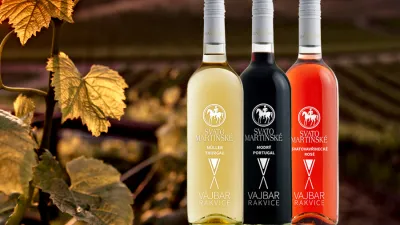 Svatomartinské víno 2024 z Vinařství Vajbar a ZD Němčičky