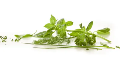 Víte, že... zmrazené bylinky