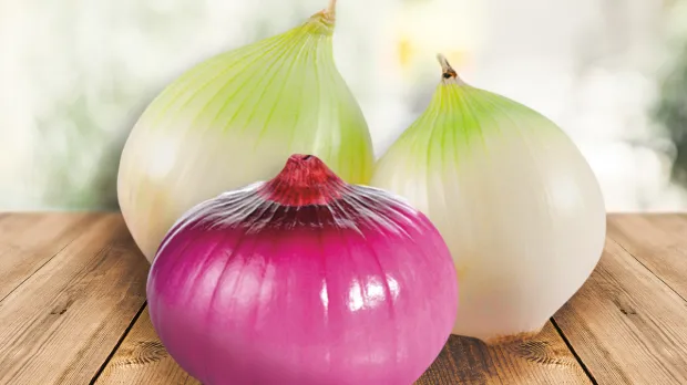 Loupaná zelenina znamená řadu úspor