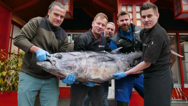 Yellowfin &amp; Bluefin se potkali u Fresh Fish Service