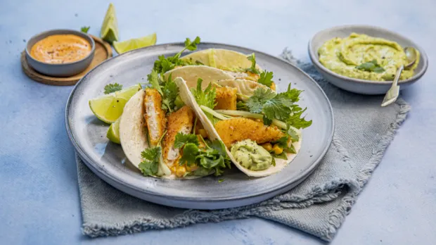 Kapitán Iglo je zpátky