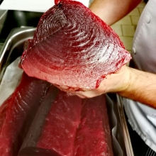 Fresh Fish Service | tuňák žlutoploutvý (yellowfin)
