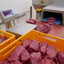 Bidfood Kralupy | čerstvé maso – kalibrace plátků | Gurmet