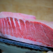 Fresh Fish Service | celý tuňák modroploutvý (93 kg)