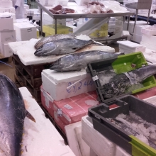 Návštěva rybího trhu Rungis