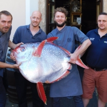 Fresh Fish Service | Moonfish