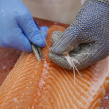 Bidfood Kralupy – čerstvé ryby | ruční vykosťování lososa
