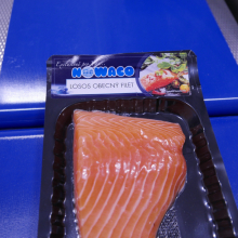 Bidfood Kralupy – čerstvé ryby Nowaco | losos filet