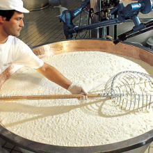 Latteria Soresina | Grana Padano