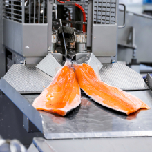 Bidfood Kralupy | chlazené ryby – kalibrace plátků | 2022