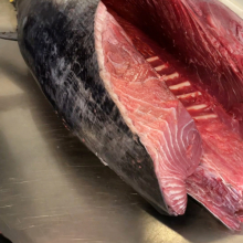 Sakura sushi & steak, Mělník | tuňák modroploutvý (bluefin)