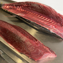 Sakura sushi & steak, Mělník | tuňák modroploutvý (bluefin)