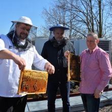 březen 2017 | Gastrostudio | vlastní včely: Marek Svoboda, Radim Kopecký, Augustin Uváčik