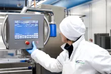 Bidfood | balírna čerstvých ryb