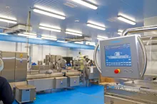 Bidfood | balírna čerstvých ryb