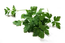 Nowaco | zmrazená petrželová nať | 426010