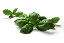 Nowaco | zmrazená bazalka | 426070