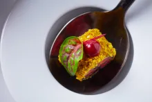 Juniorský národní tým AKC ČR | Menu IKA 2020