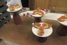 Juniorský národní tým AKC ČR | Slovinsko 2019