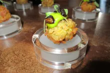 Juniorský národní tým AKC ČR | Slovinsko 2019