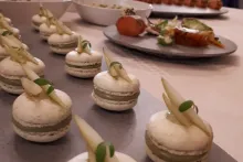 Juniorský národní tým AKC ČR | Slovinsko 2019